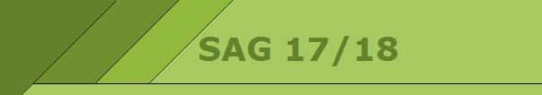 SAG 17/18