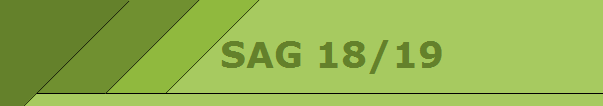 SAG 18/19